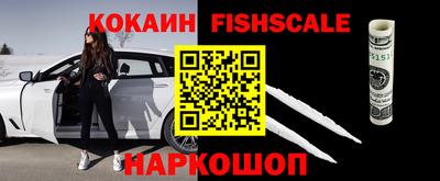 мет Кингисепп