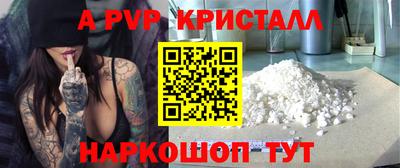мет Кингисепп
