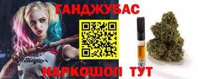 мет Кингисепп