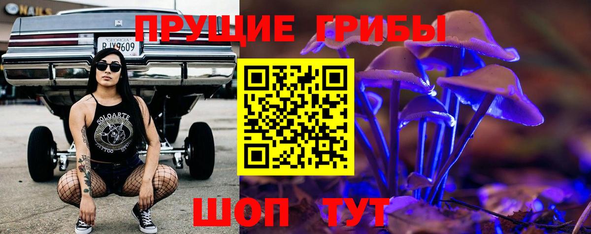 Псилоцибиновые грибы Cubensis  Вход с VPN  Чайковский 