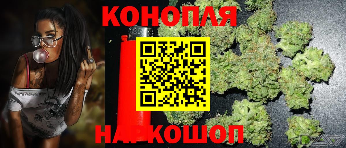 Бошки марихуана гибрид Чайковский